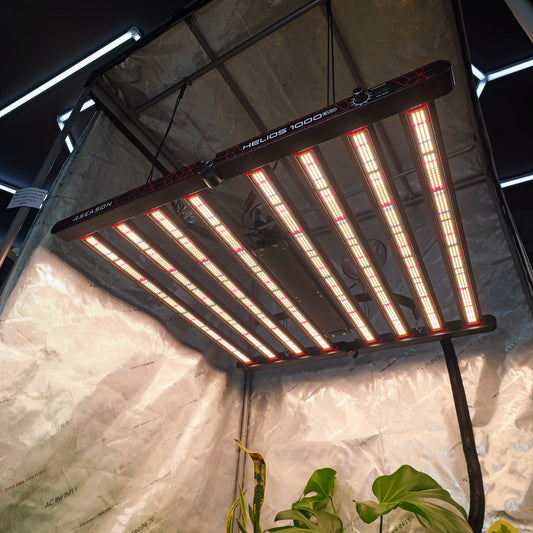 4season helios 1000w led grow light shining bright