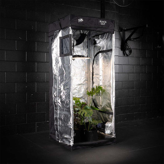 Grow Kit - Stage One