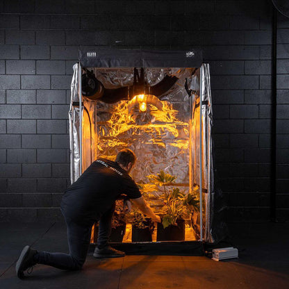 HPS Starter Grow Kit