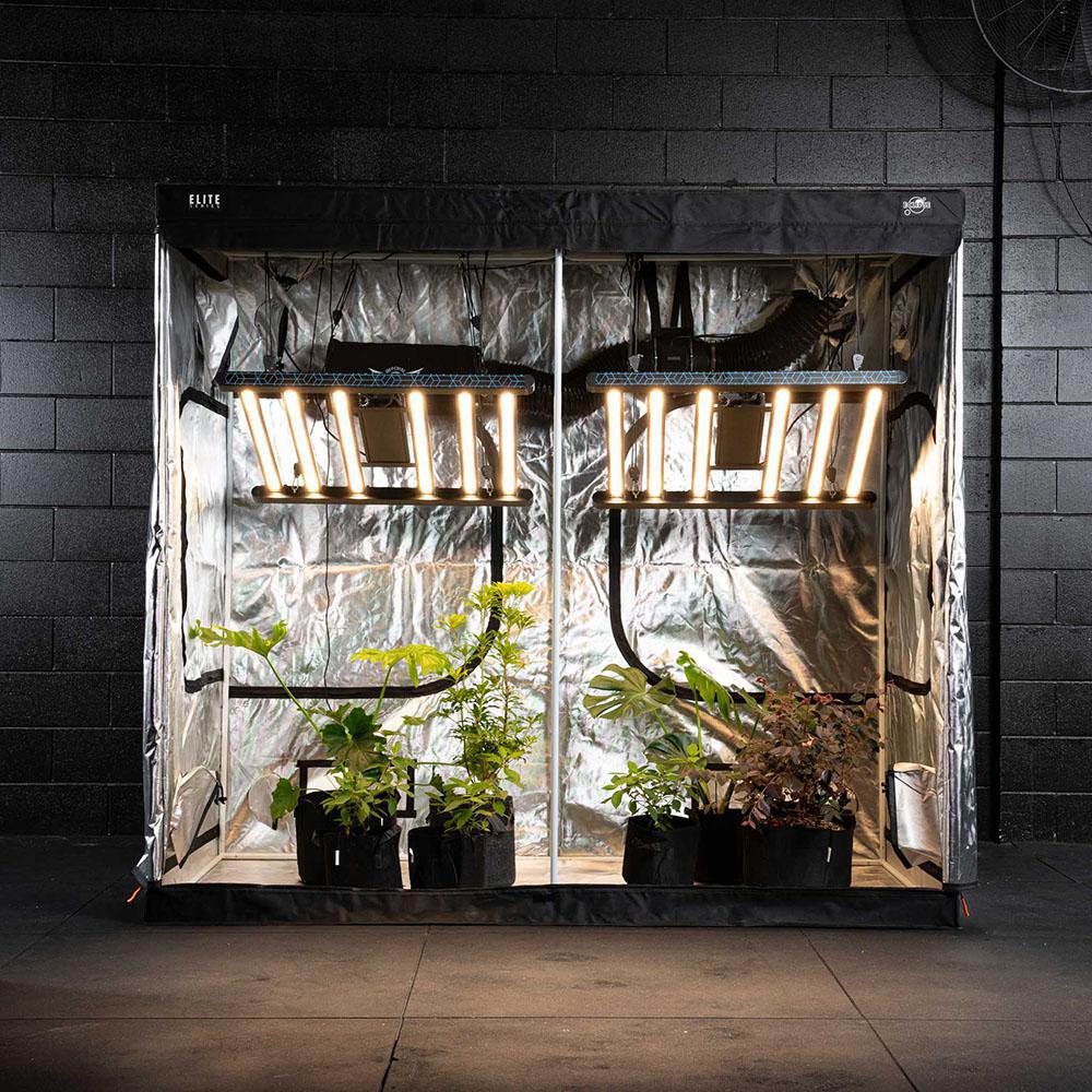 Grow Kit - Stage Three