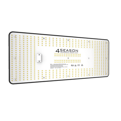 Grow Kit - Stage One