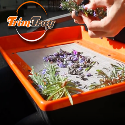 TRIM TRAY KIT