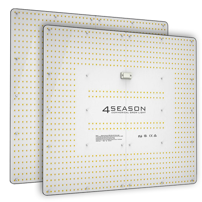 Grow Kit - Stage Three