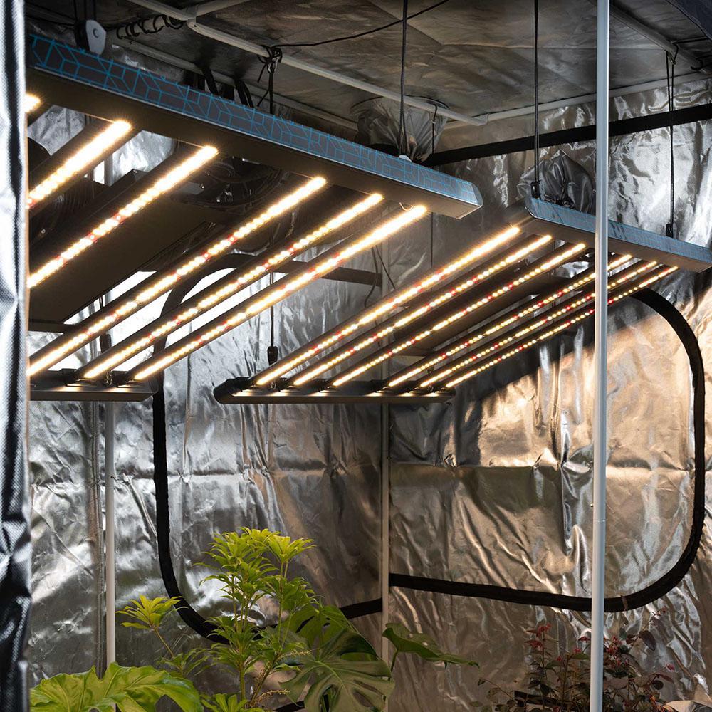 Grow Kit - Stage Three