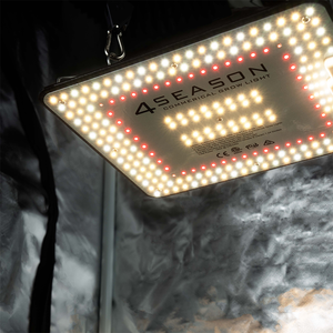 quantum par 100w led grow light