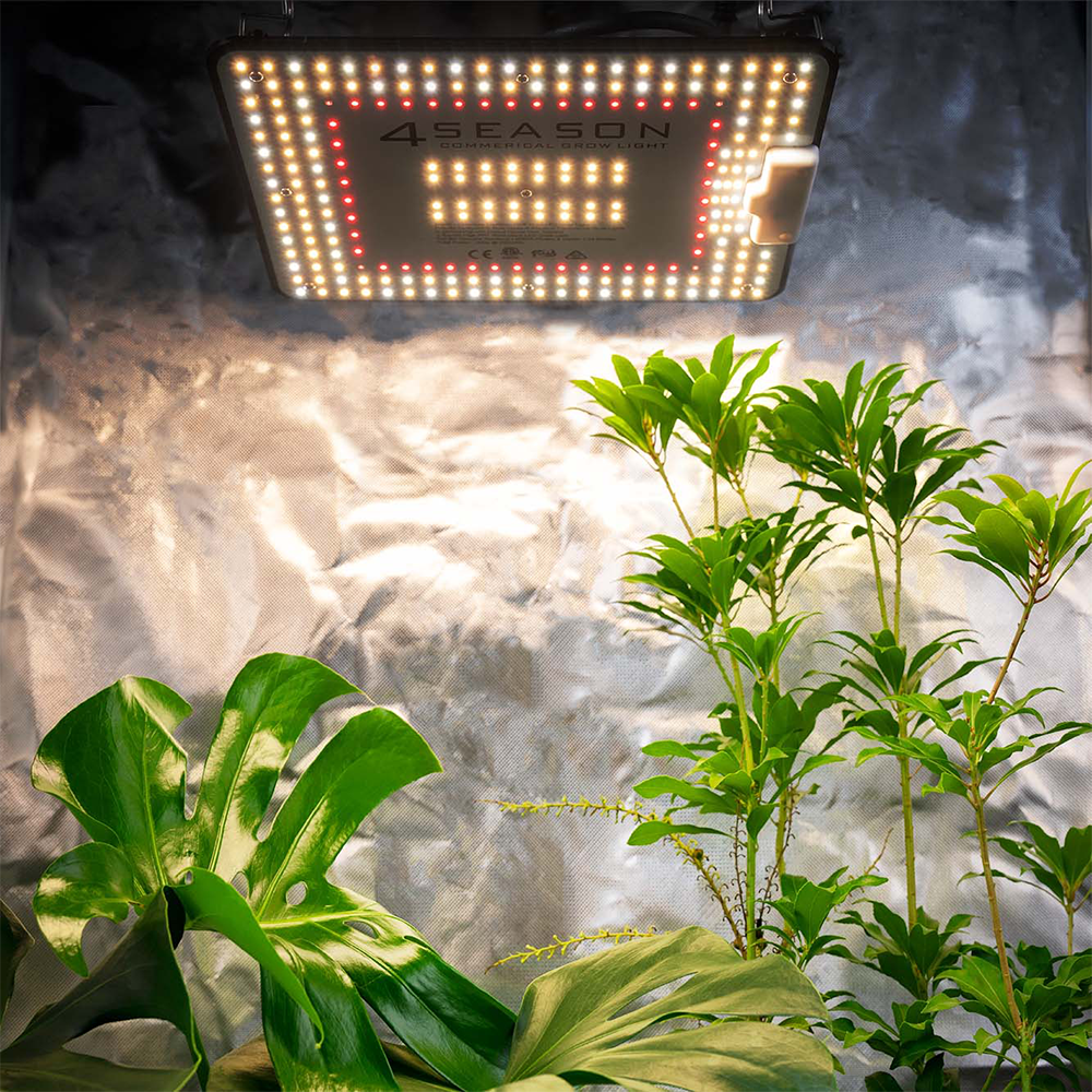 4Seasons 100w Quantum PAR - LED Grow Light