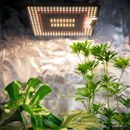 4Seasons 100w Quantum PAR - LED Grow Light