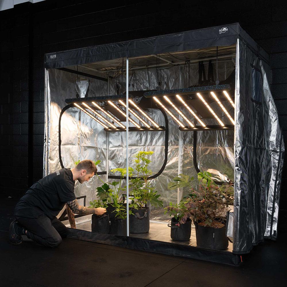 Grow Kit - Stage Three