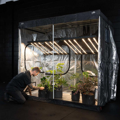 Grow Kit - Stage Three