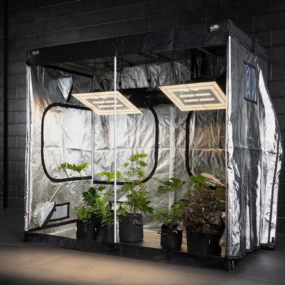 Grow Kit - Stage Three