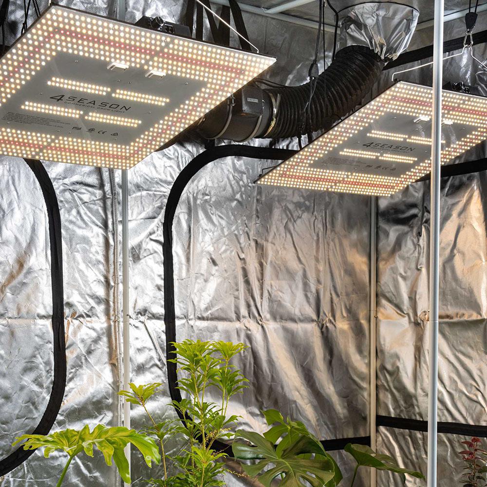 Grow Kit - Stage Three