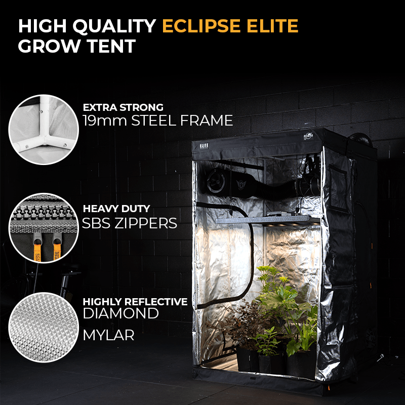 Grow Kit - Stage Two