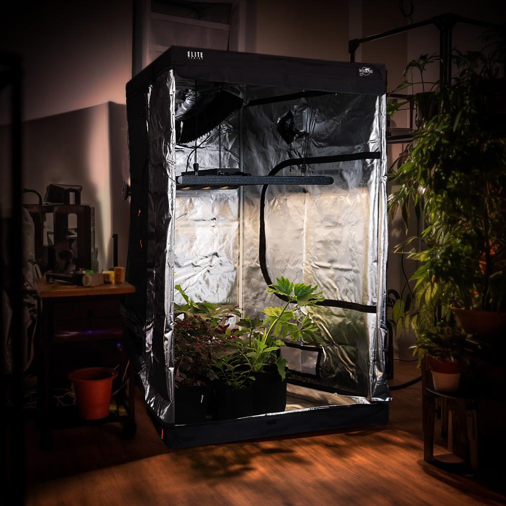 Grow Kit - Stage Two