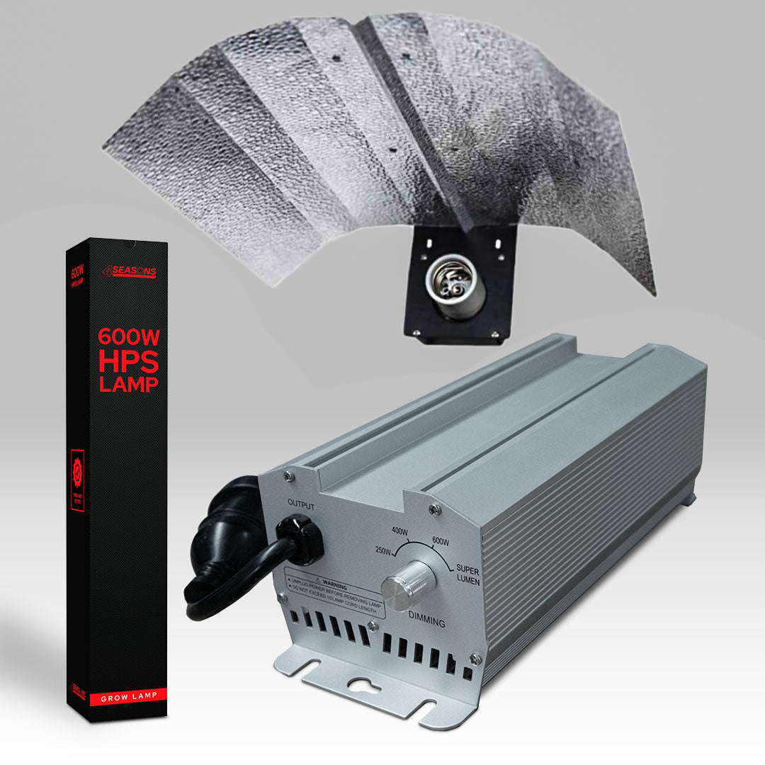 600w HPS Kit
