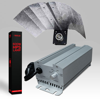 600w HPS Kit