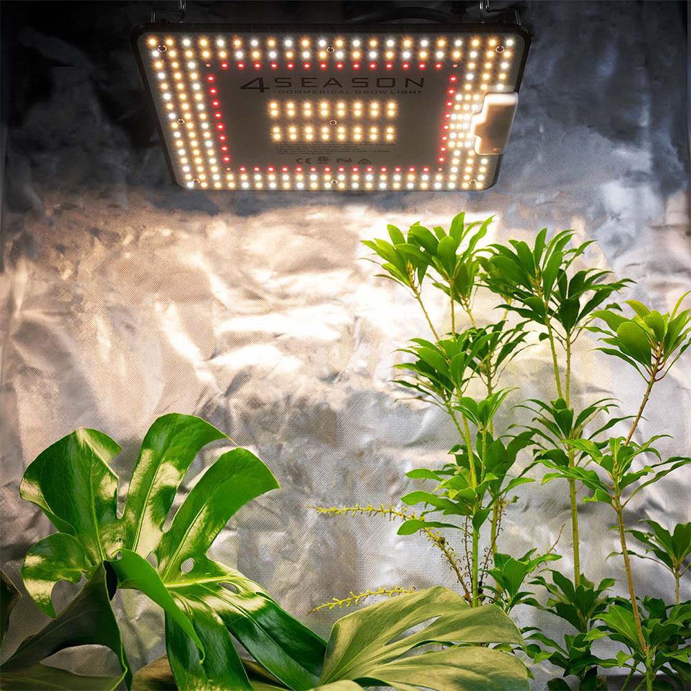 Grow Kit - Stage One