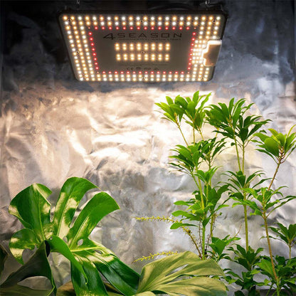 Grow Kit - Stage One