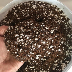 Coco Perlite 50L