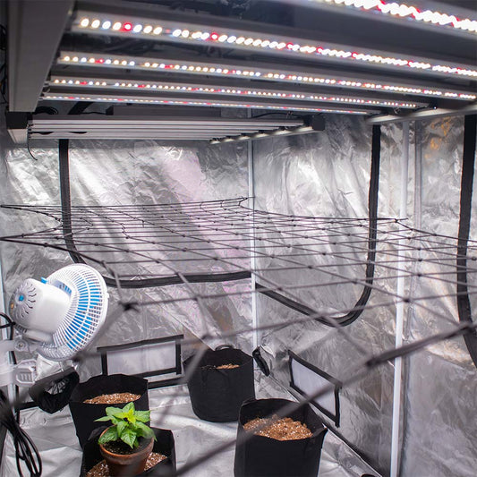 Herbal house Elastic Trellis Netting