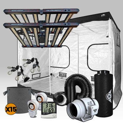 Grow Kit - Stage Four