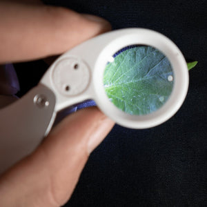 Jewelers Loupe - 40x Zoom