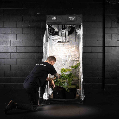 Grow Kit - Stage One