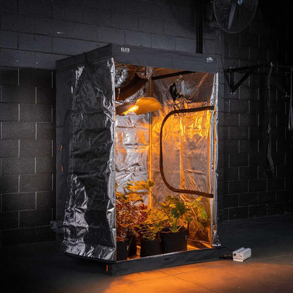 HPS Starter Grow Kit