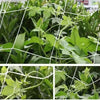 trellis netting