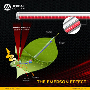 sleep initiator led grow light