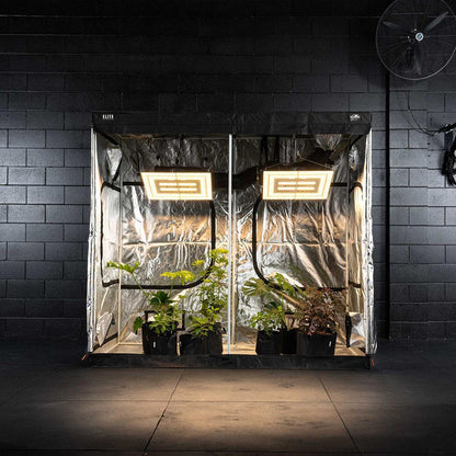 Grow Kit - Stage Three